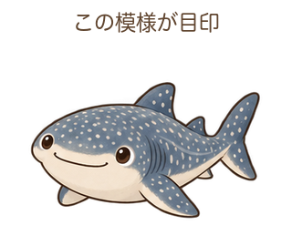 この模様が目印のジンさん