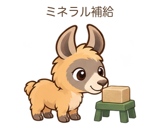 ミネラル補給のららちゃん