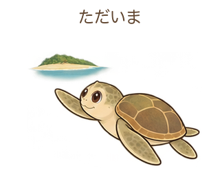 ただいまのミガさん