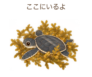 ここにいるよのミガさん