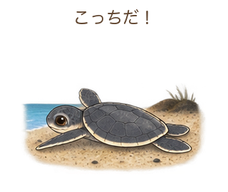こっちだ！のミガさん