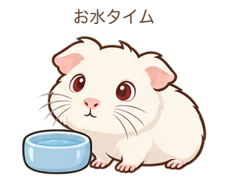 お水タイムのもるちゃん