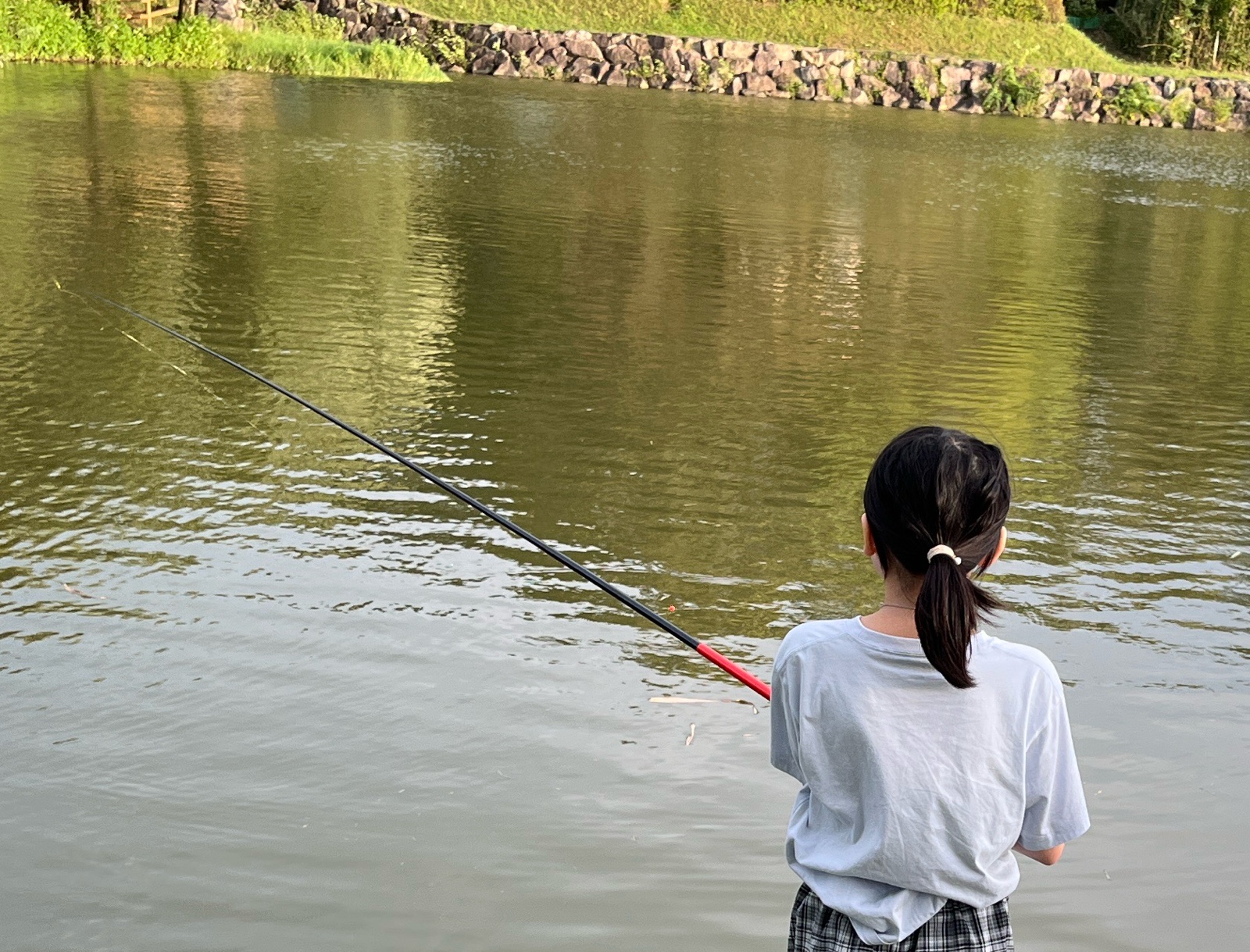 池での観察