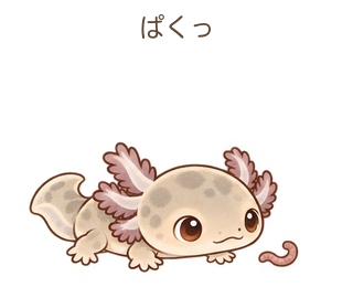 ぱくっのルーちゃん