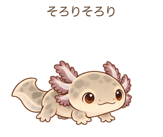 そろりそろりのルーちゃん