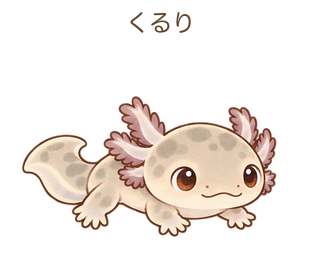 くるりのルーちゃん