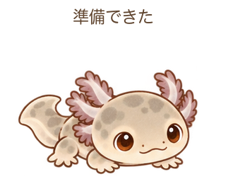 準備できたのルーちゃん