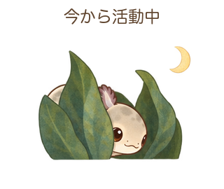 今から活動中のルーちゃん
