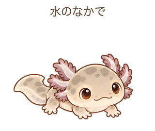 水のなかでのルーちゃん
