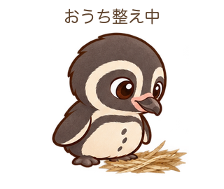 おうち整え中のるとちゃん