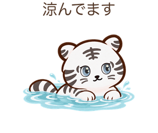 涼んでますのしろちゃん